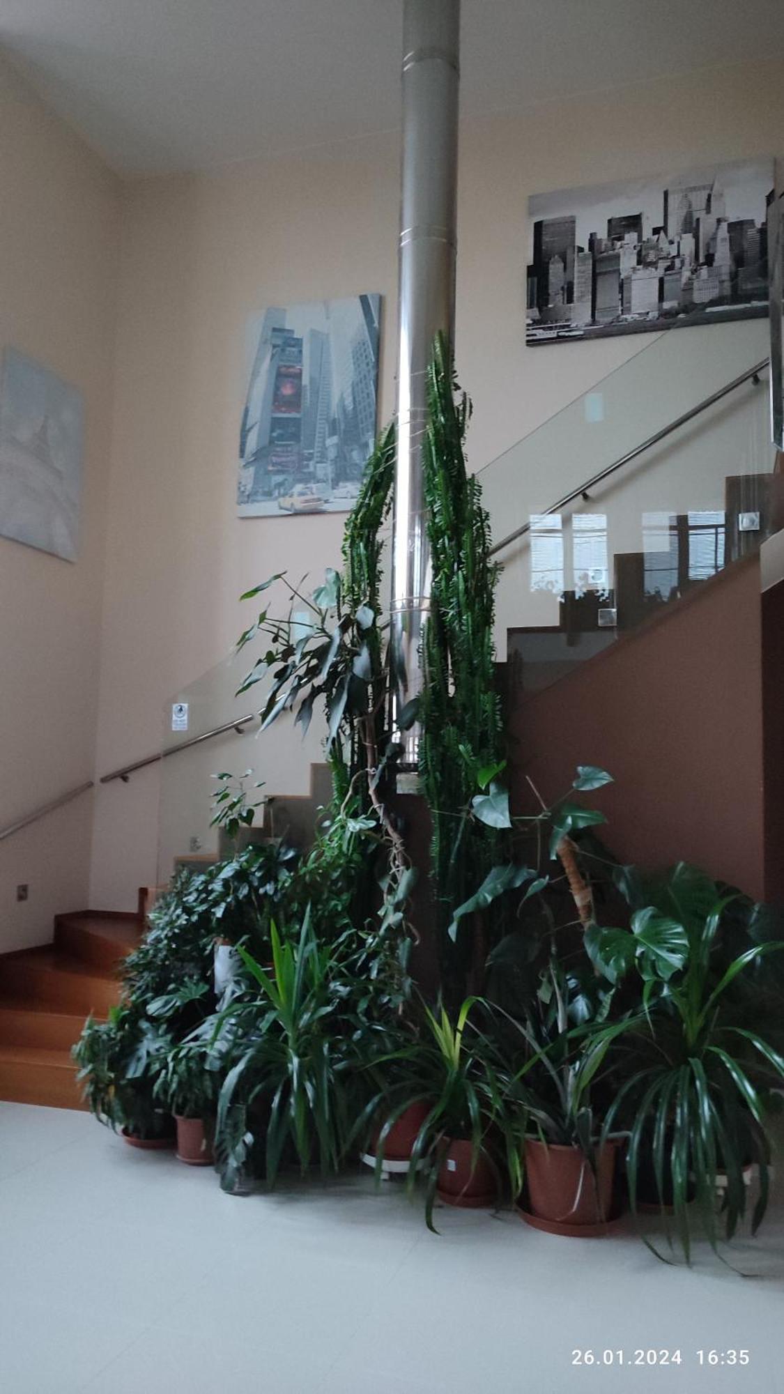 Villa Homestay Nad Helmrovkou Praag Buitenkant foto
