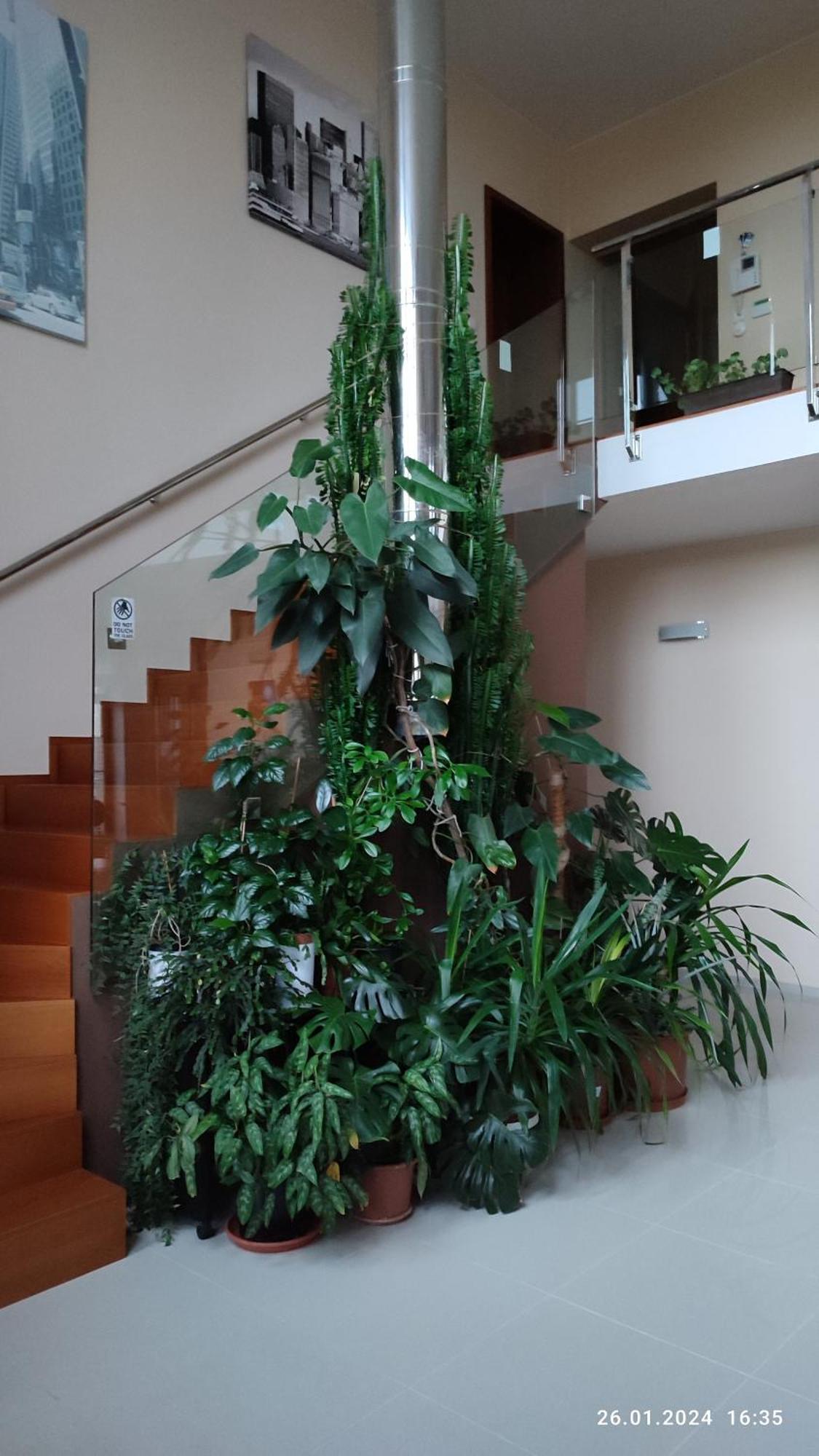 Villa Homestay Nad Helmrovkou Praag Buitenkant foto