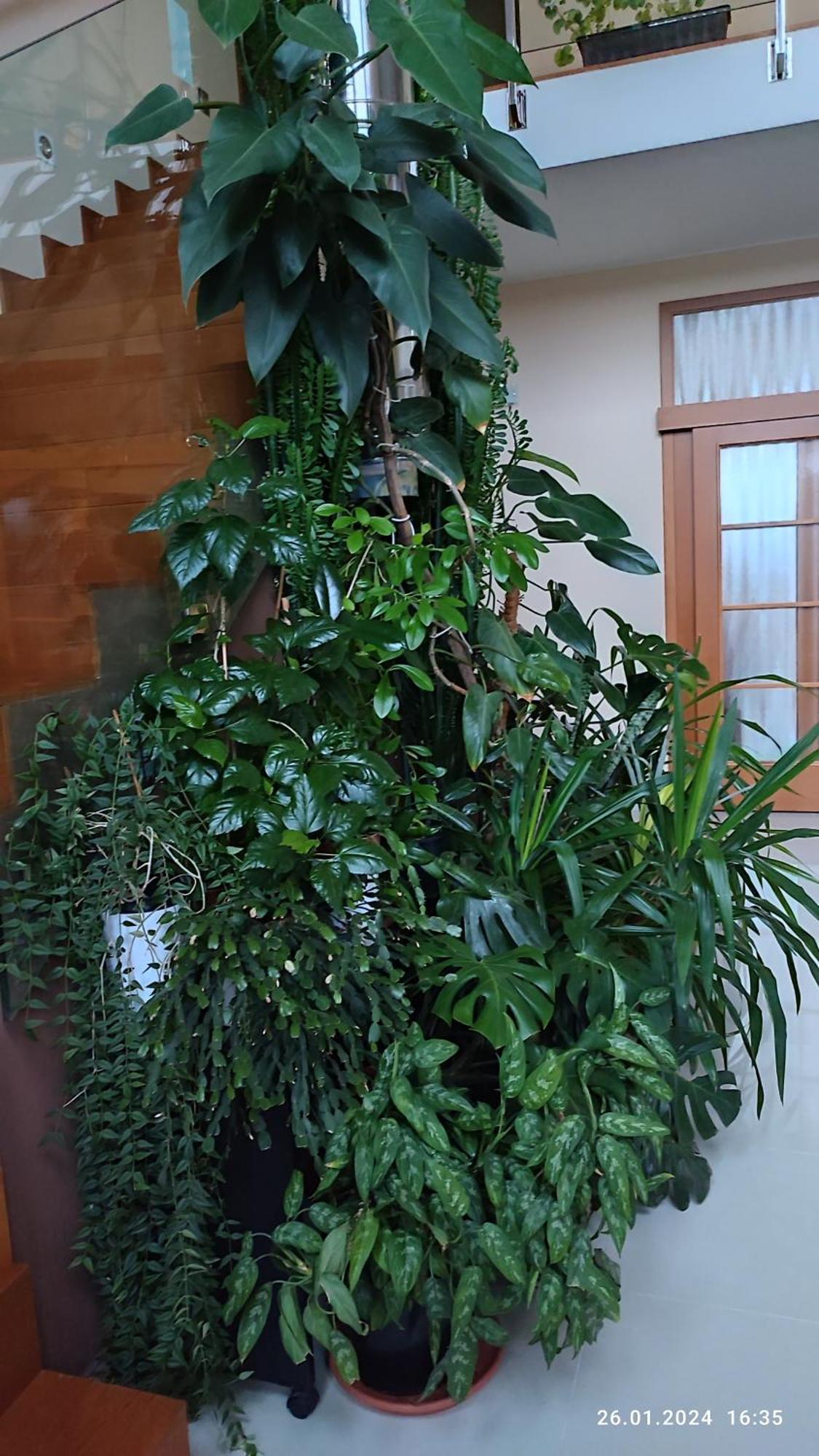 Villa Homestay Nad Helmrovkou Praag Buitenkant foto